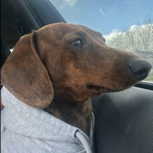 Meet your Posher, Nailea